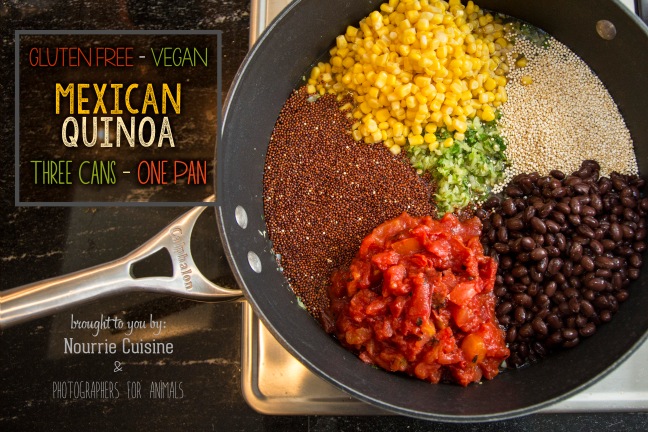 Mexican Quinoa